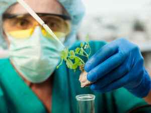 SWISS TCM UNI,TCM,TCM Ausbildung,TCM Studium,TCM Weiterbildung,TCM Kurse,TCM Schule,TCM Universität,TCM Schulung